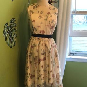 Snow White Fit and Flare Dress LC Collection